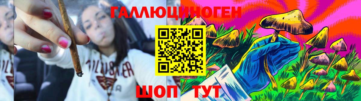 Псилоцибиновые грибы GOLDEN TEACHER Красный Сулин